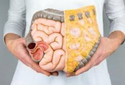 Cuman Minum Air Putih Usus Jadi Sehat Cuman Minum Air Putih Usus Jadi Sehat